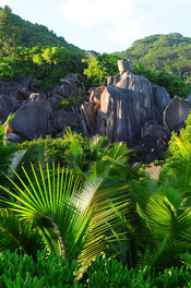 Les iles granitiques des Seychelles